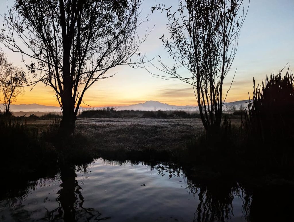 Tree silhouettes frame a volcano on the horizon at sunrise in Xochimilco, with an orange glow over misty fields reflected in the still canal below.