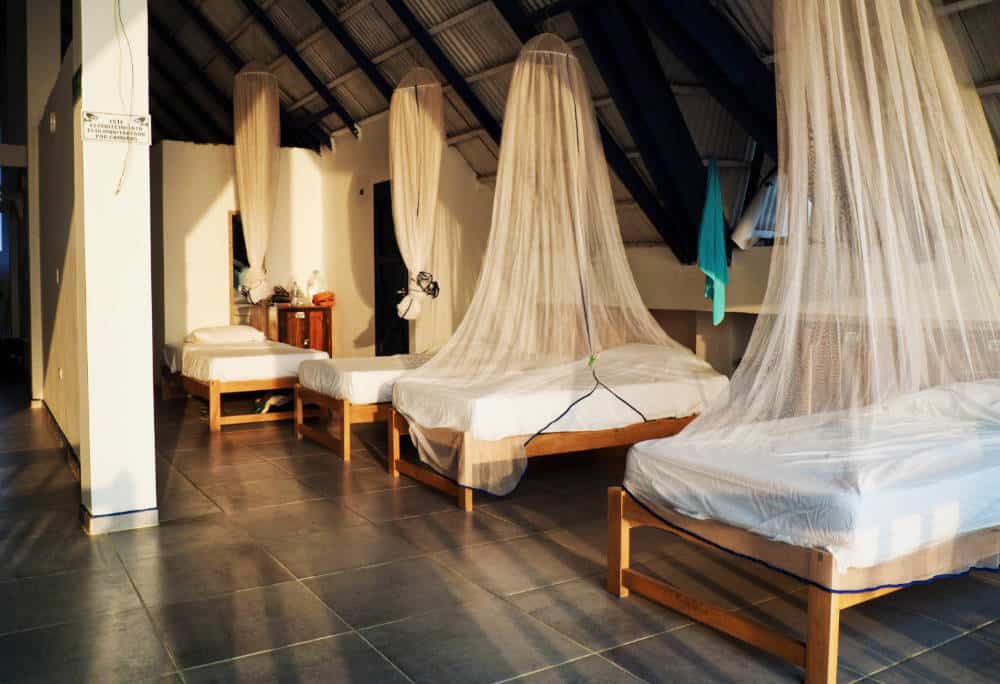 At one of the best hostels in Rincon del Mar, single beds arranged next to each other, each protected with a mosquito net hanging from the ceiling.