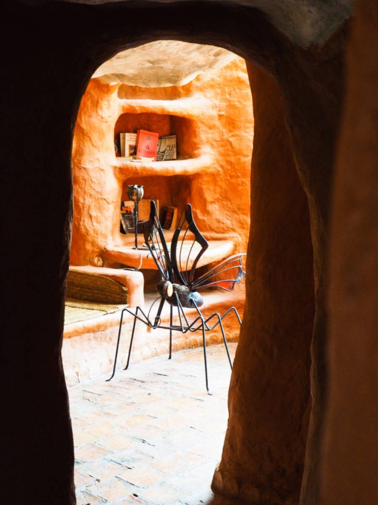 Through the view of an arched open doorway, a large butterfly sits on the floor in front of a built in bookshelf.