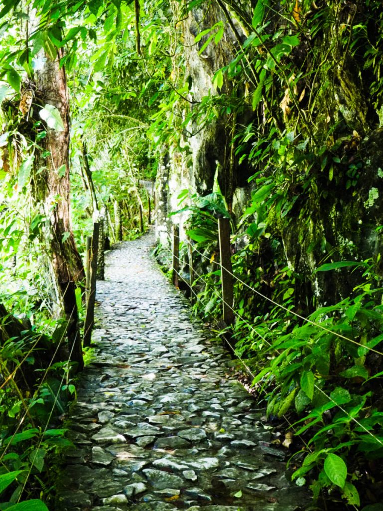 A clear stone path lined with trees through the tropical rain forest leads the way through Reserva Rio Claro.