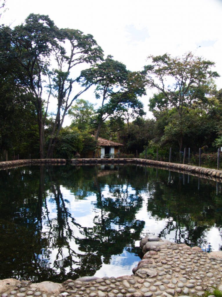 Surrounding trees are reflected in the natural spring lake at La Mesopotamia Hotel which is lined with small paved rocks.