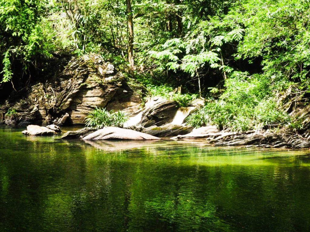 Trees and limestone rocks surround Rio Claro which has carved its way through the marble canyon.