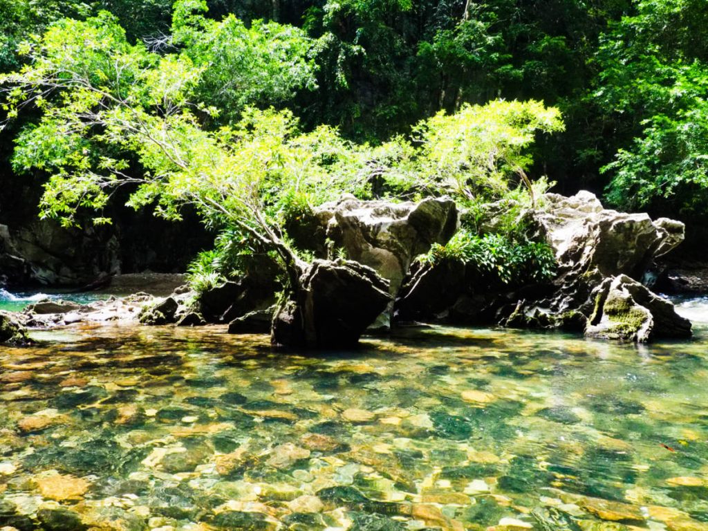 Large rock stones line the bottom of the clear river. Plant life grows on top of the larger rocks in the center of the river.