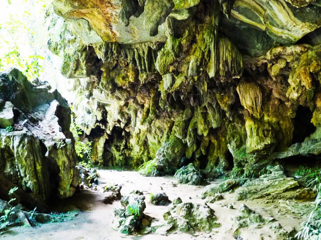 Thick stalactites hang from the ceiling of the curved, open-air cavern.