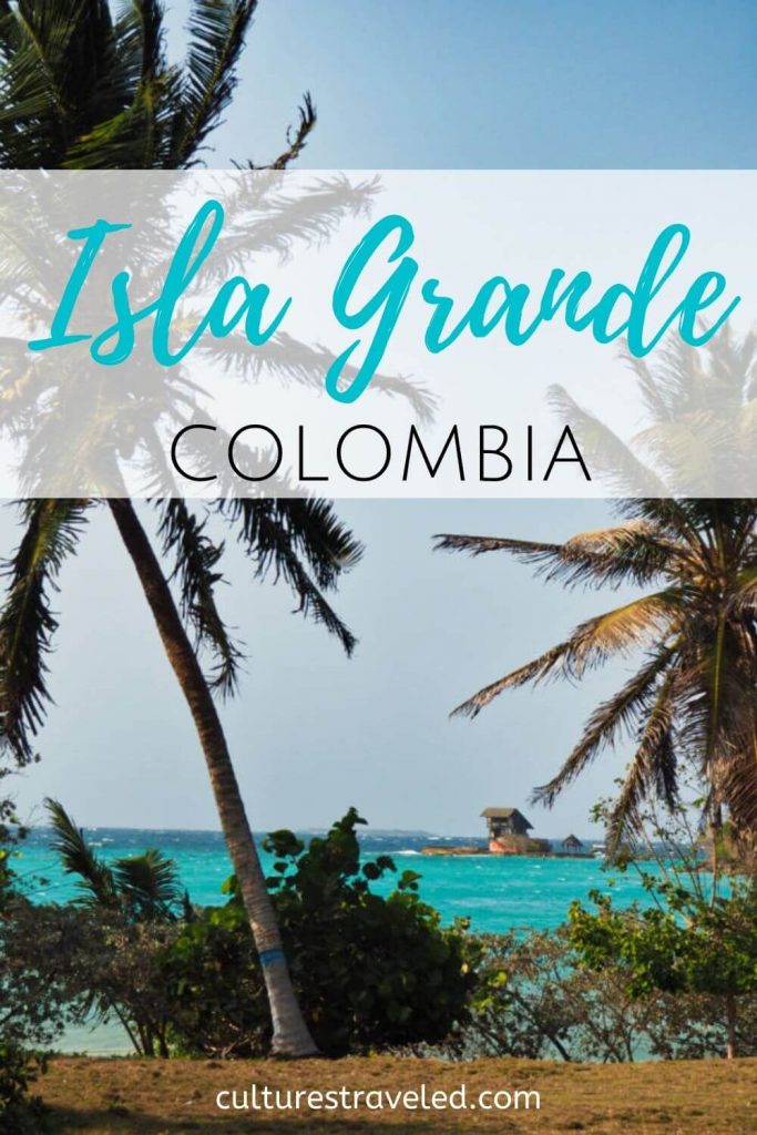 An image of Palm Trees with the words Isla Grande, Colombia to save to Pinterest.